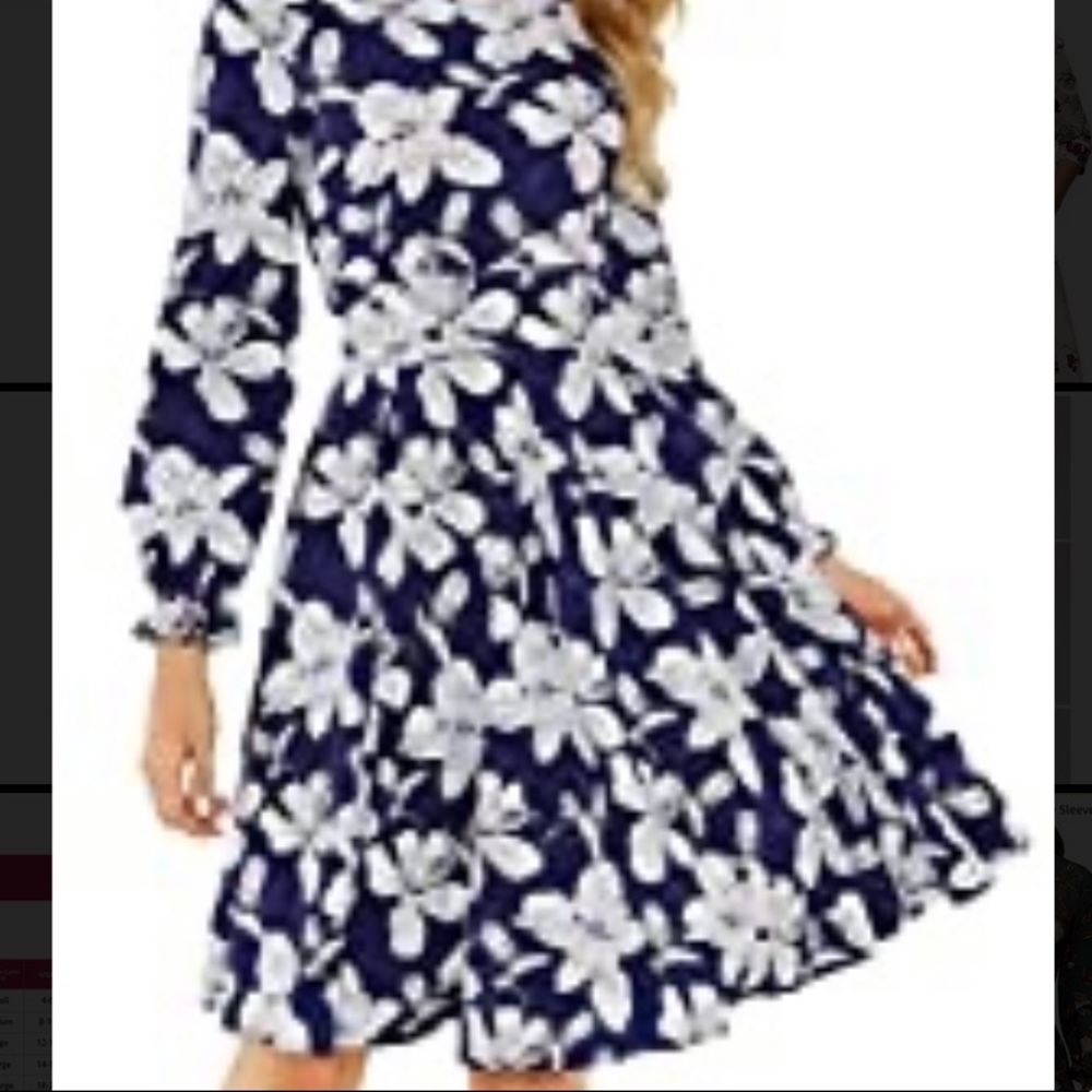 Blue and White Floral Swing Dress